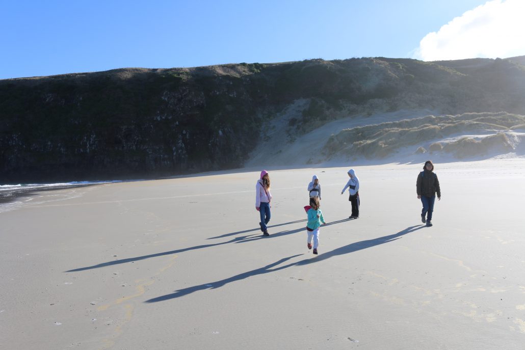 This beach, in Dunedin, NZ, is famous for its white sands, the sand dunes, and the amazing sea lions. It was a great experience!