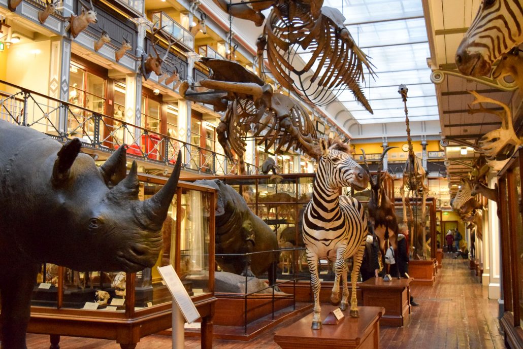 The Natural History Museum, in Dublin, os a great place to take kids who are interested in animals and nature! Click for more!