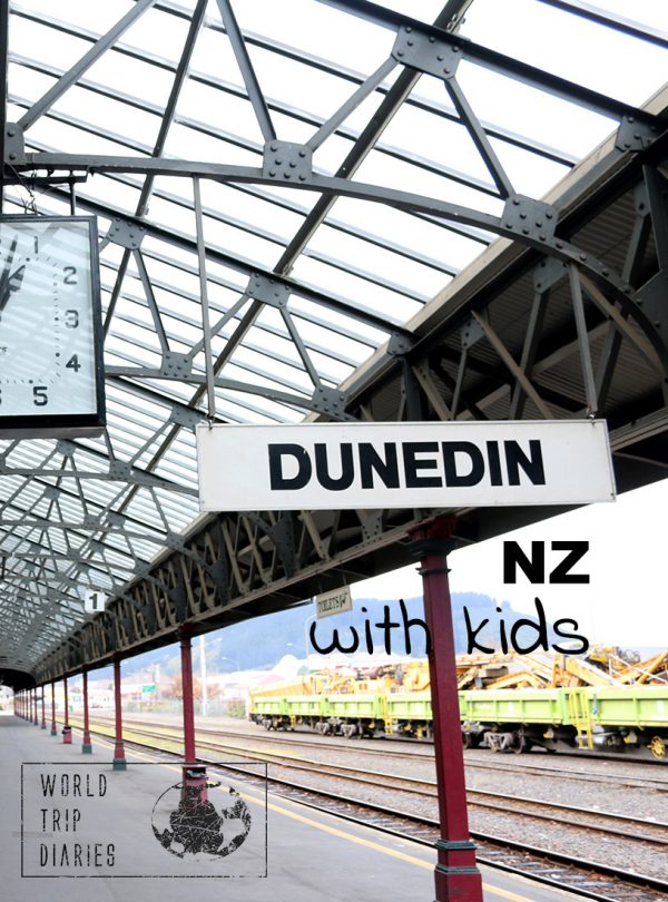 Dunedin is a popular destination in NZ's South Island and we've been there with kids. Click to read more!