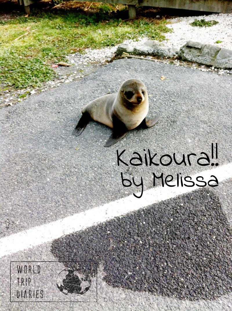 Melissa (13) talks about her favorite memories of Kaikoura, NZ, during her family trip there!