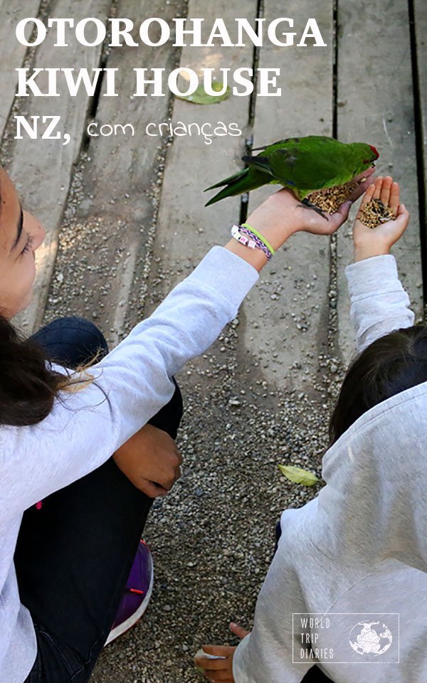 Visitamos a Otorohanga Kiwi House, NZ, com crianças. Aprendemos muito naquele dia, muito além das espécies e das ameaças dos pássaros nativos!