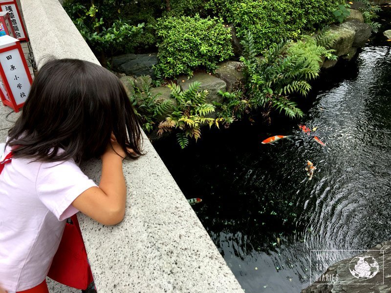 The gardens surrounding the temples and shrines of Asakusa are stunning. We spent most of our time there. Click here to see more!