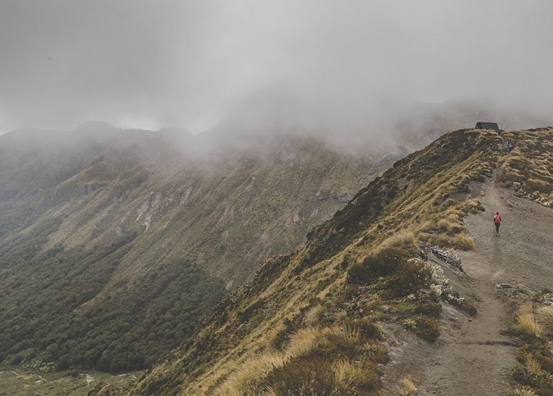 The Fiordland National Park is amazing in its entirety. Find out why it's one of New Zealand's most beautiful places!