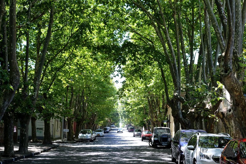 street colonia uruguay