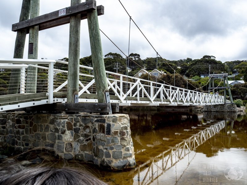 Lorne is full of awesome walks, from pram friendly walks to multi-day hikes. Full of waterfalls, rivers, and beaches, it's worth a stop!