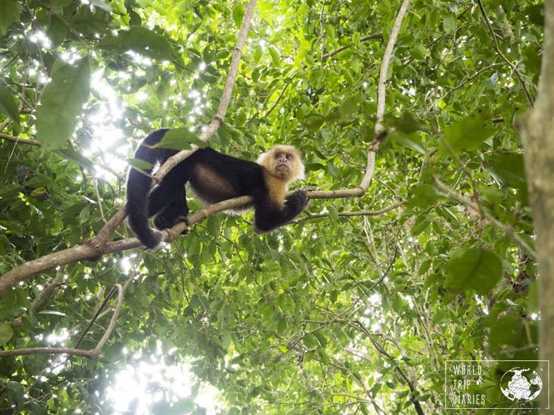 A Costa Rica tem cada vez menos crianças, Internacional