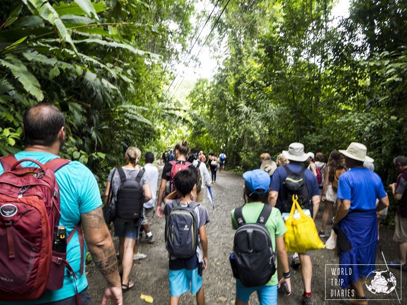 Manuel Antonio National Park is almost always full and it's worth the visit! We found all the animals we wanted to see there. Great fun for the kids!