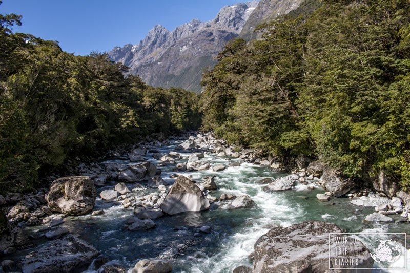 A river at the Fiordland National Park, NZ. The river beds are lined with trees and the mountains at the background complete the picturesque scenery.