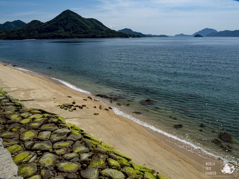 okunoshima day trip