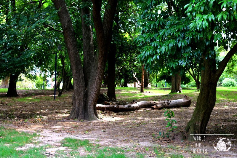 Parque Batlle is another free attraction in Montevideo. It's a huge park right beside the soccer stadium! Find out more!