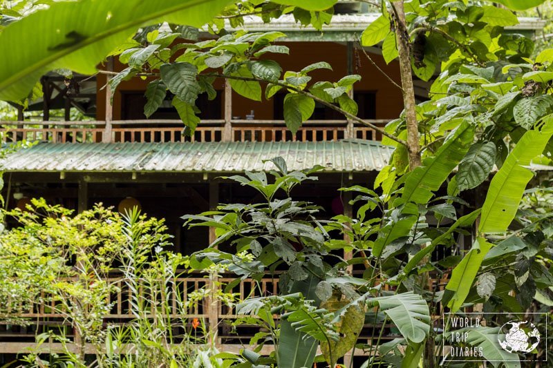 Finding a house in the jungle in Punta Uva, Costa Rica, was great luck. We loved it!