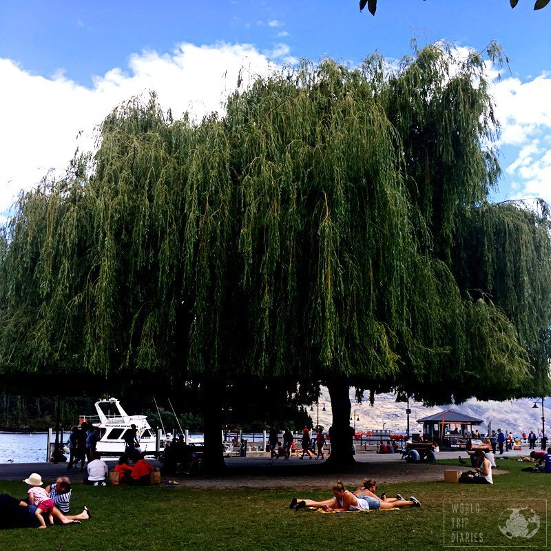 One of the best Queenstown activities in summer is sun bathing. Free, fun, warm, and popular. All in one.