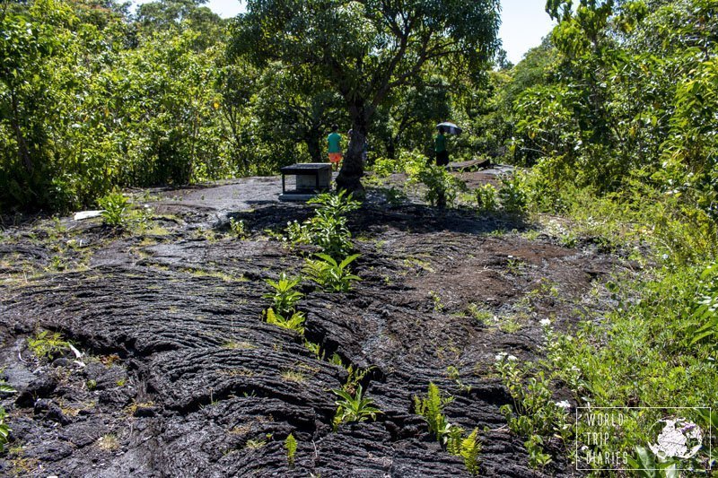 Saleaula Lava Fields in Savaii (Samoa). The floor is covered in solidified lava, now all black with patterns showing the motion of the lava. Nowadays, it has plants growing here and there. It's a wonderful sight!