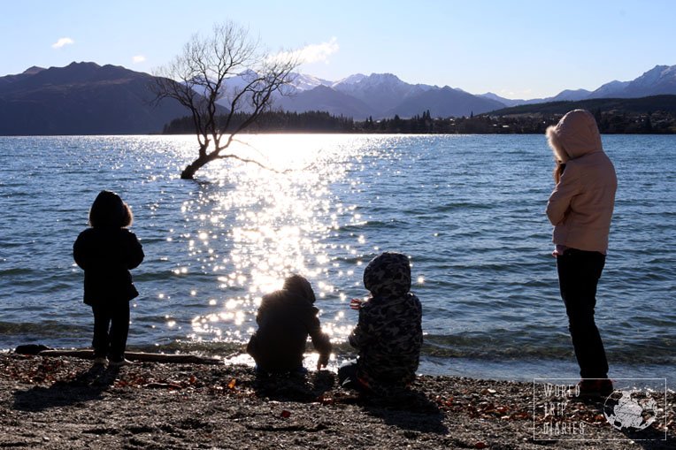 The Wanaka Tree, that grows inside Lake Wanaka. Everyone that stops in Wanaka takes a photo there. It's a NZ must!