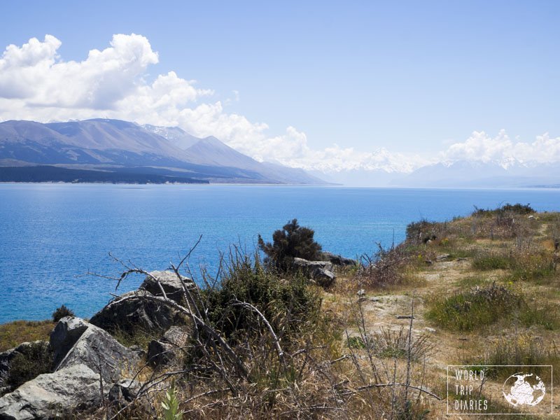 The Southern Lakes region of the South Island (NZ) is so beautiful. The blues there are bluer than anywhere else. 