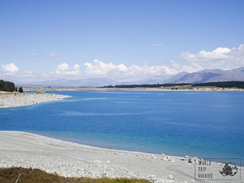 The blue waters of NZ's Southern Lakes and rivers is crazy. Even without the lupins, it's one gorgeous sight.