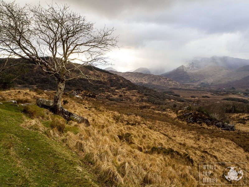 A tree, the mountains behind and the cloudy sky on the top. Lady's view, in Killarney National Park, is part of the Ring of Kerry and it's one of the best views ever! Click for more!