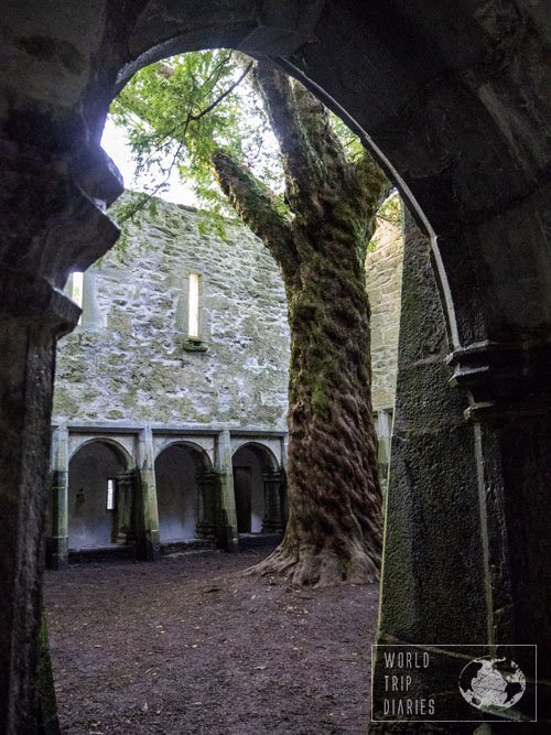 Muckross Abbey, in the Ring of Kerry (Ireland), is one beautiful abbey. It's in ruins, but very well preserved. Click for more