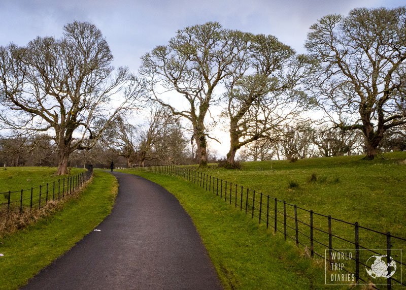 A path, green grass on both sides of it, and trees on the back. Ireland is a great place to visit with the family! Click for more!