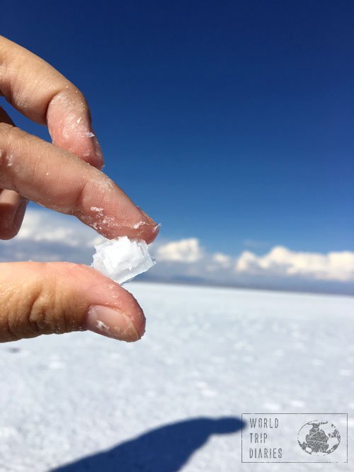 salt crystal salar uyuni bolivia