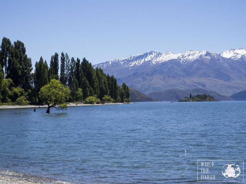 The Wanaka tree sits in side the lake and it's pretty cool to see that single tree there. 