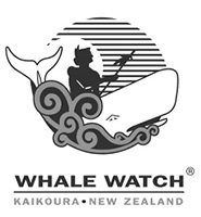 Whale Watch Kaikoura